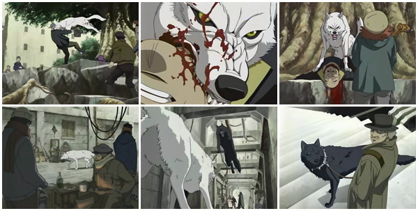 Wolf's Rain is set in a dystopian future where cities are left in ruins and 